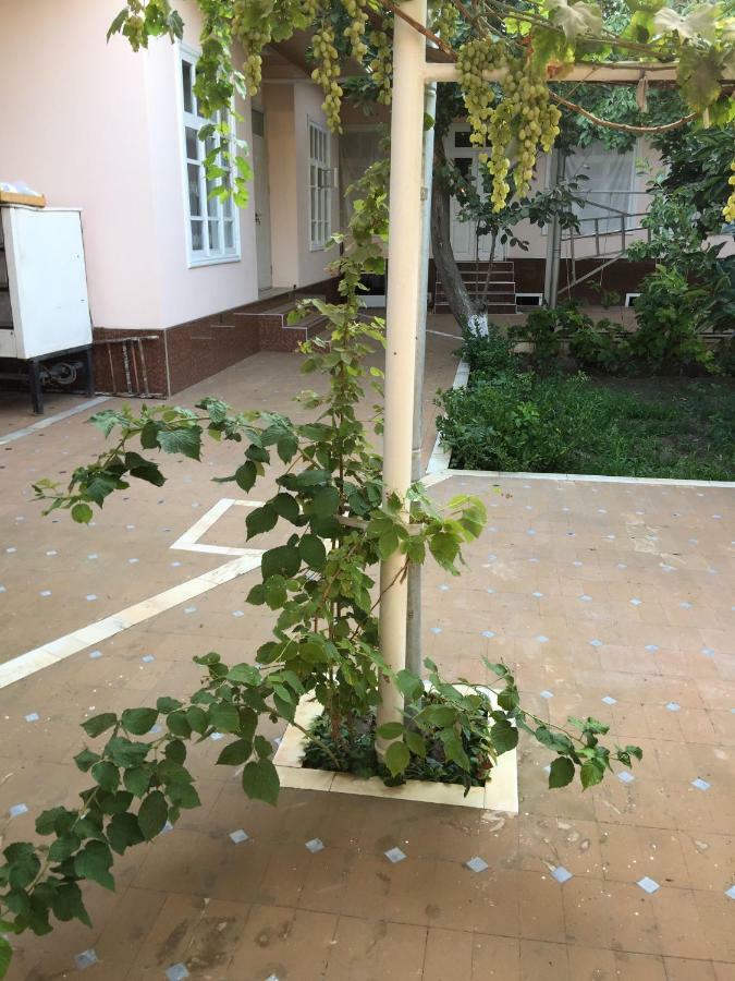 Munis Ξενοδοχείο Σαμαρκάνδη Εξωτερικό φωτογραφία